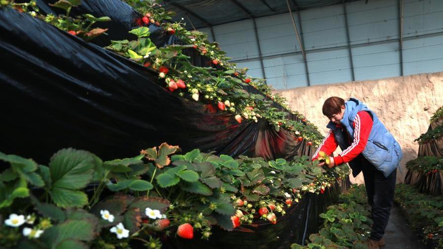 ����ػͣ���ʩ���߹�Ӧ�����г�