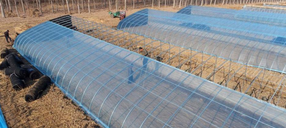 ����߱�׼���� ׳��弯�徭��