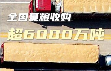 ȫչ6000