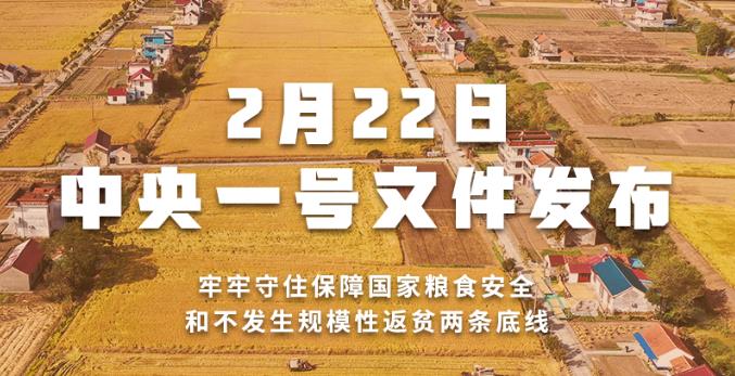 2022һļ ȫƽص㹤