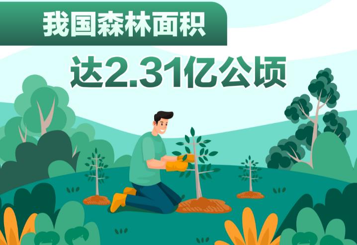 ҹɭ2.31ڹ