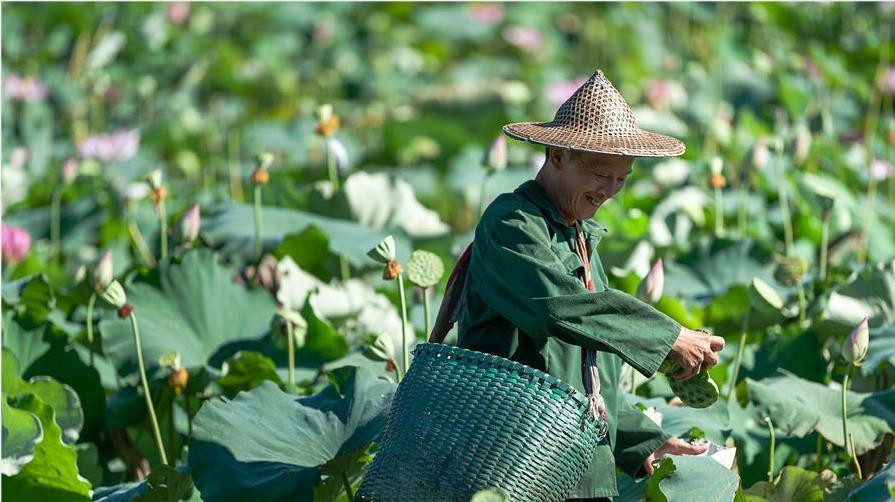 ʢ��ʱ�ڲ���æ