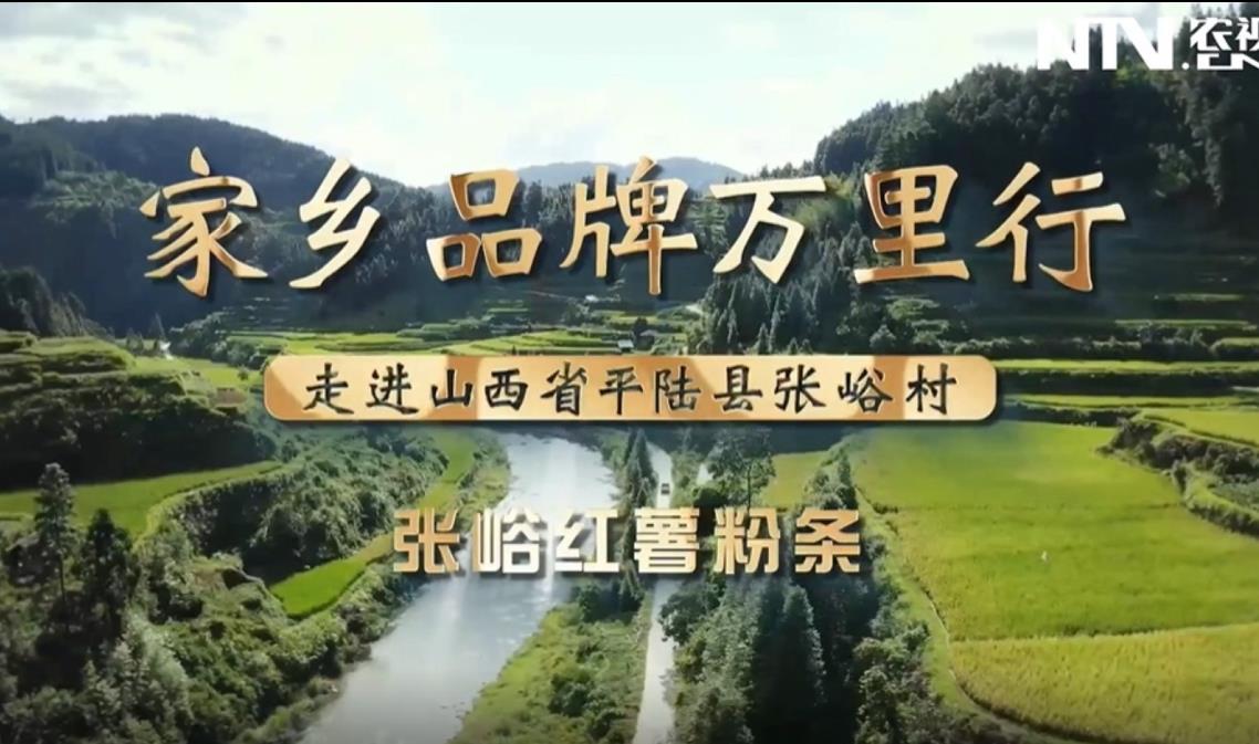 ����Ʒ�������� �߽�ɽ��ʡƽ½��������