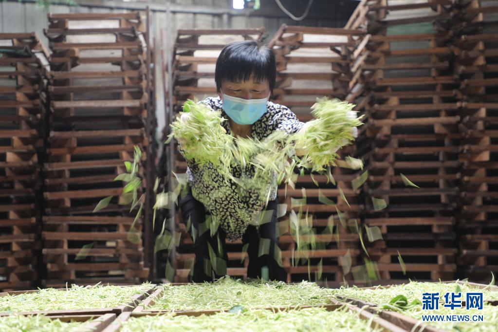 �ӱ�¡Ң����ɫũҵ�����������