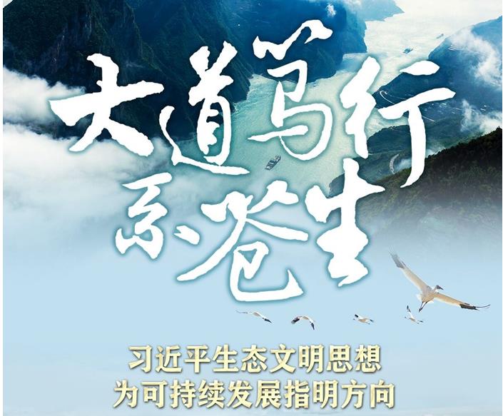 �������ϵ��������ϰ��ƽ��̬����˼��Ϊ�ɳ�����չָ������