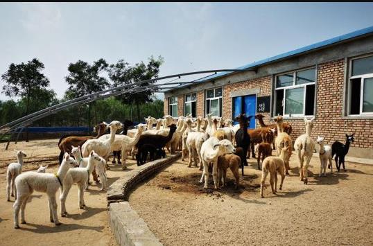 һ�������ոı�Ĵ�ׯ