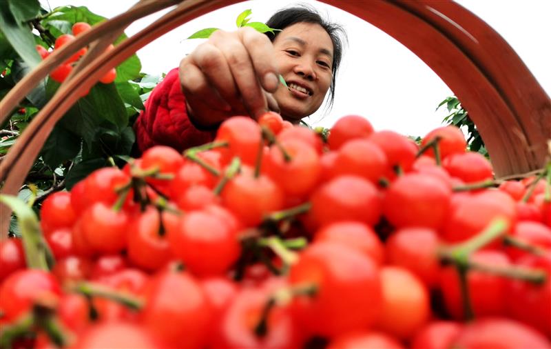 �Ĵ����٣�����ӣ�� �����ο� ���˹�ũ