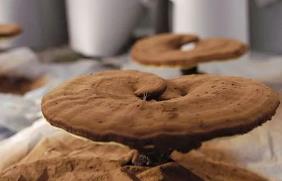 ��֥���ӷ��г��������ش��� ũ��Ʒ������Ʒ����ҩƷ��