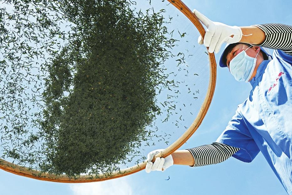 ����ҩ�� �¸�֮·