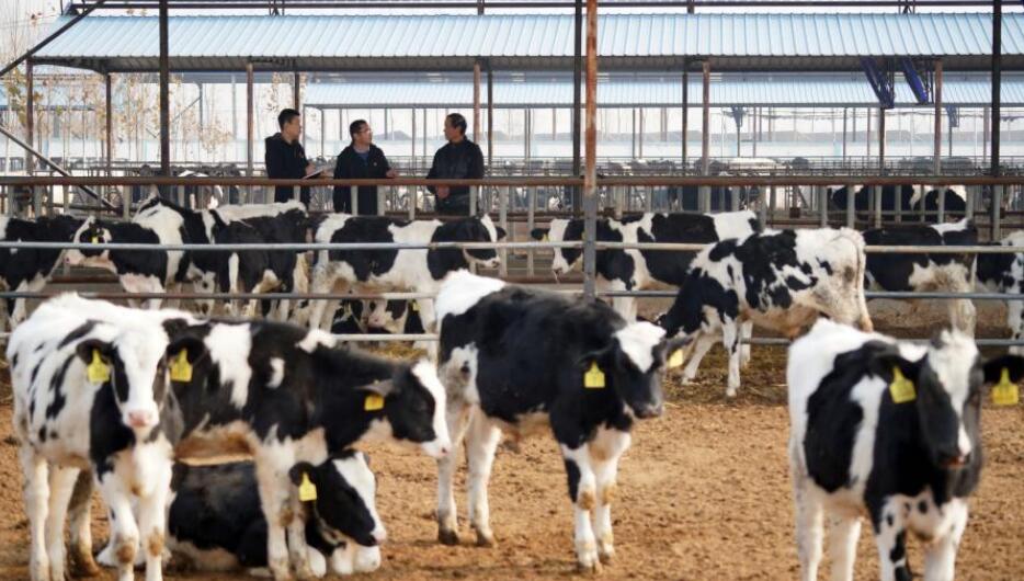 �ӱ���¹���ͼ춽�黤����ƶ����