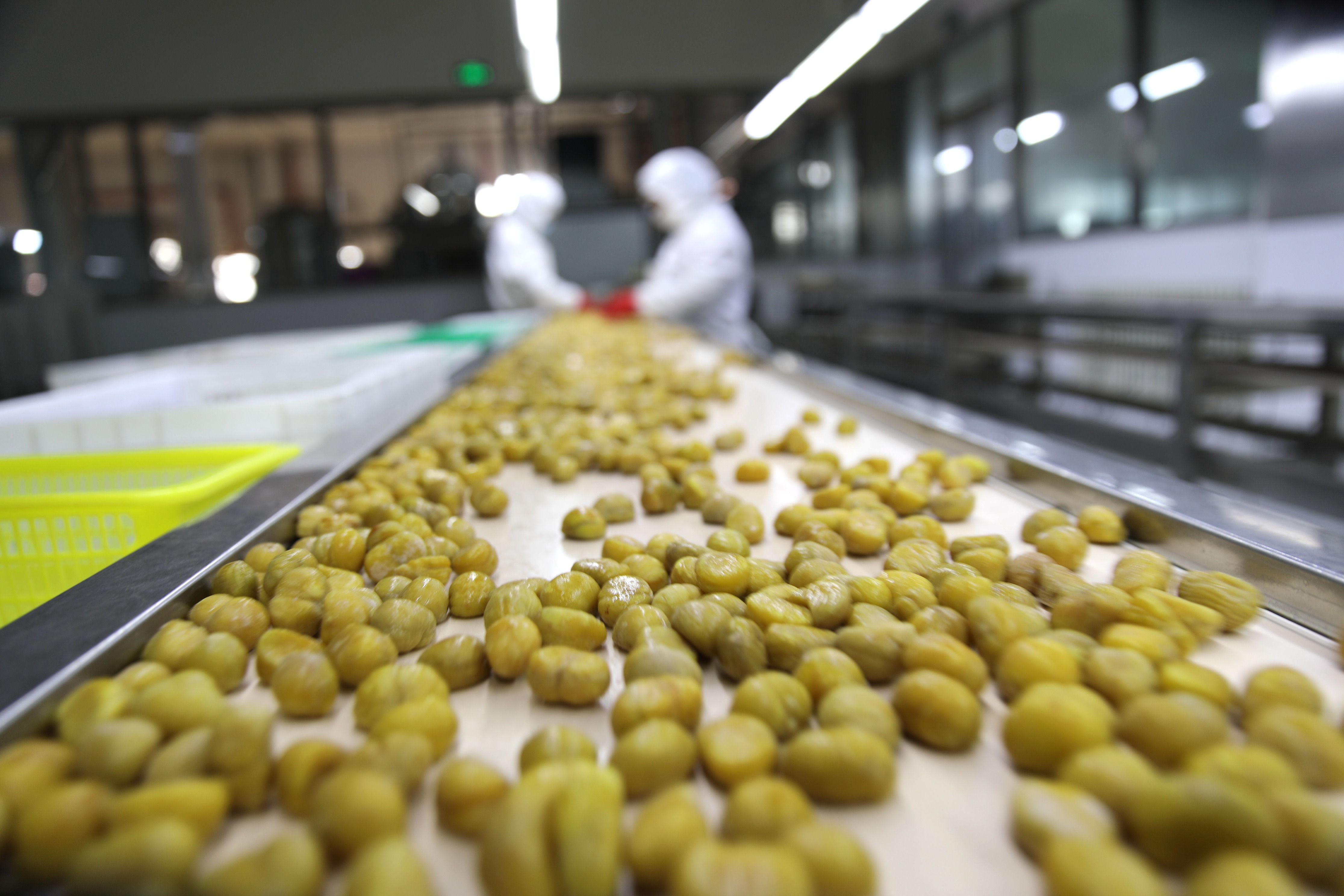 �ӱ����ǣ�������ӹ������������