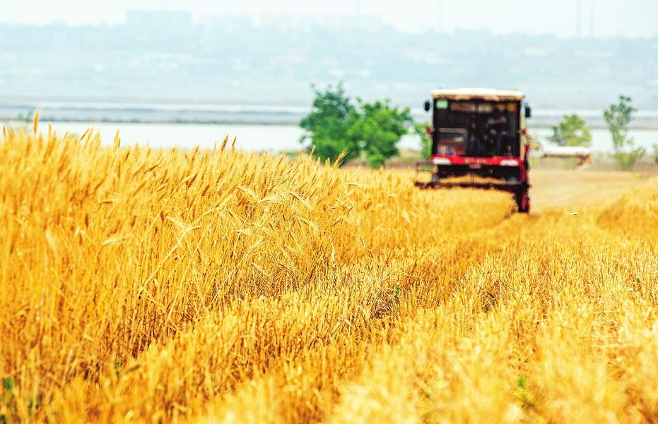 ϲ�����վ�������������