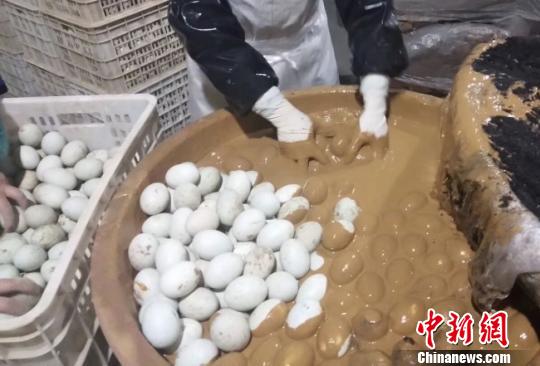 图为正在加工的皮蛋。 钟欣 摄