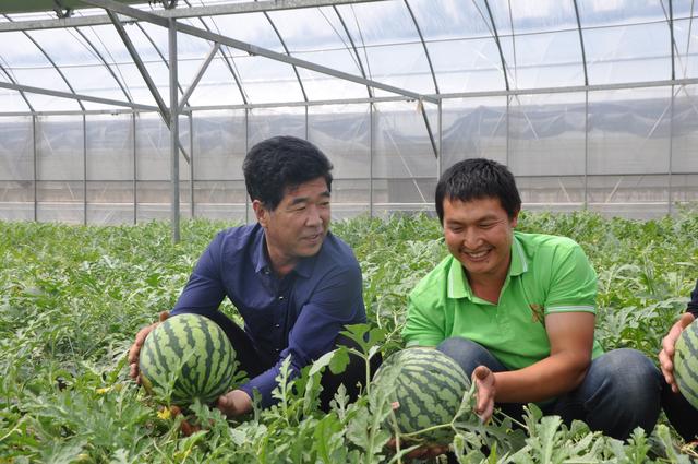 这里的西瓜为啥这么甜—运城市夏县“夏乐”牌西瓜高品质发展纪实