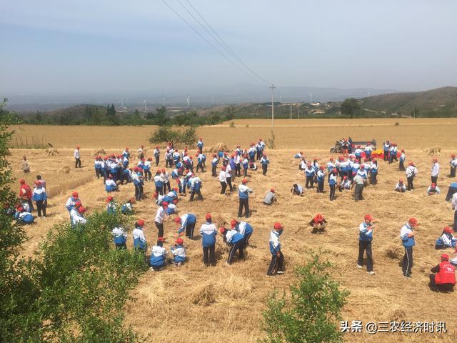 山西平陆毛家山举办“我和我的祖国”主题教育活动