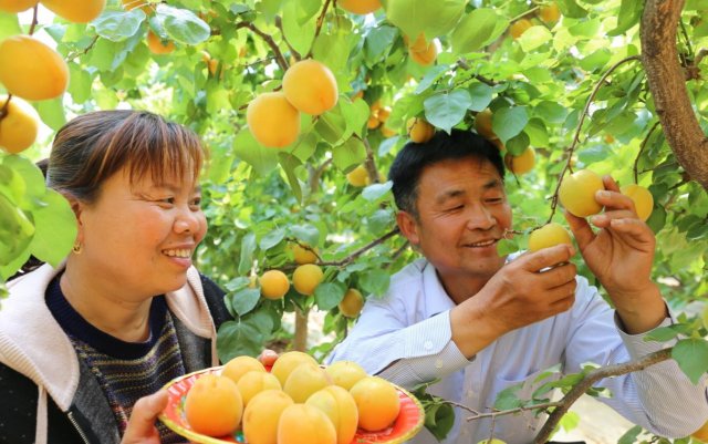 ɽ�����أ�������ӳ�ǽ��