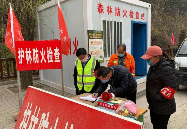 �����������㷢����ץ����ɭ�ַ���