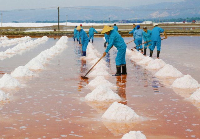 ����ǿ��������ǿ��