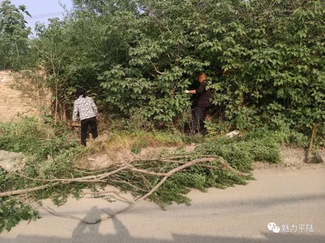 平陆圣人涧镇全面提升环境容貌“升级”创建和谐文明的人居环境