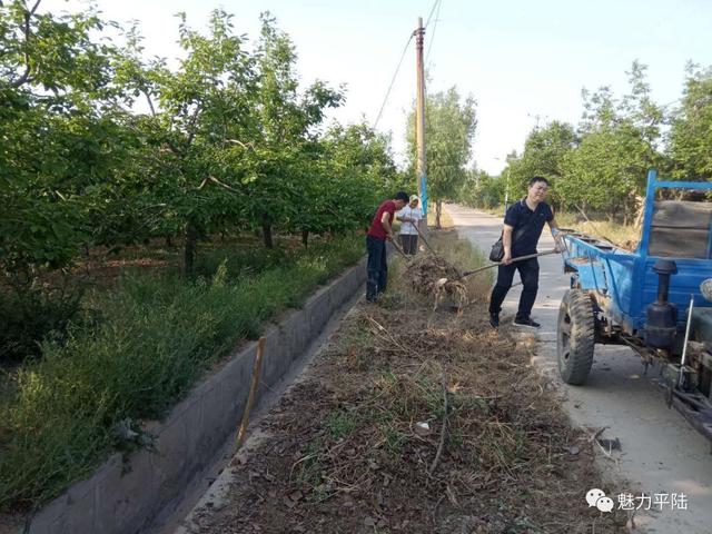 平陆圣人涧镇全面提升环境容貌“升级”创建和谐文明的人居环境