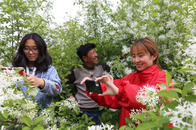 ���Ϲ��ơ��¸���