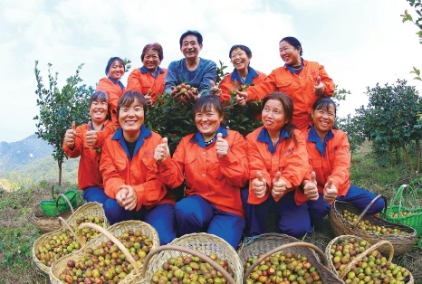 河南桐柏:有机农业助力老区群众脱贫致富