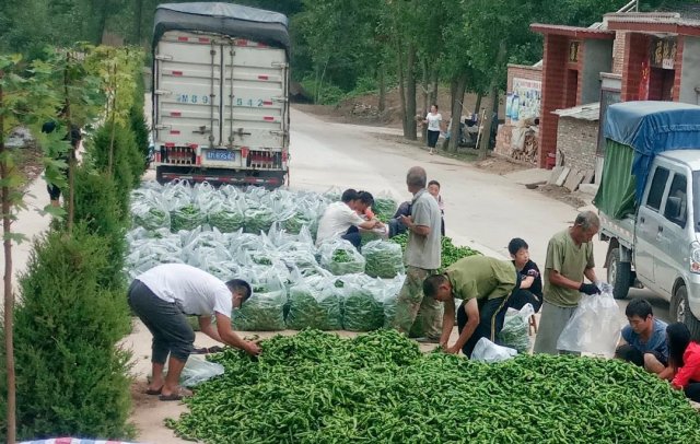 Сɽ���߲����δ��г�