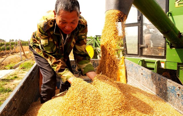 ɽ�����ã�����������  ����ǻƽ�