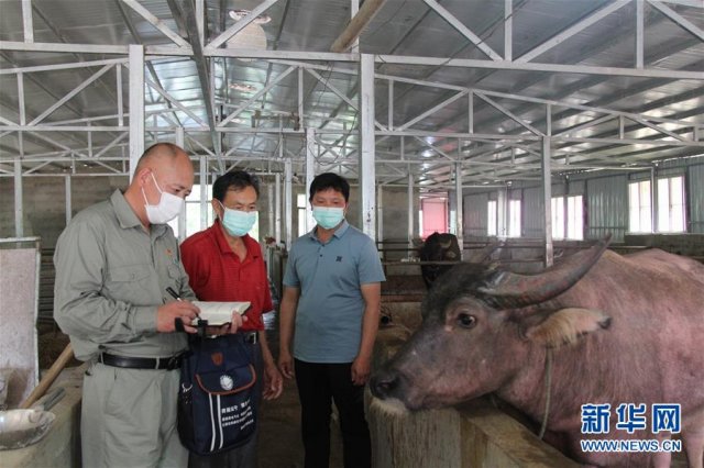 פ���һ��ǵ���Ϻũ����ţ�ġ�