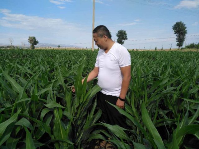 ��������ʮ�������ǽ����һ�����������ƶ��ʵ