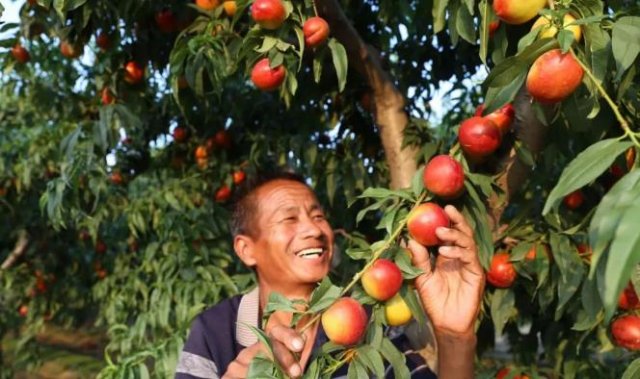 ���أ�������ġ����Һ�����