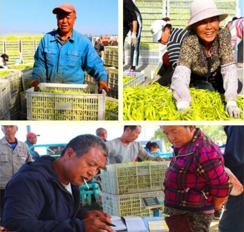 ����ũ���е������㱱ʮ��ƻ��㣡