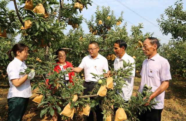 ɽ������:ƻ���״���������Ч