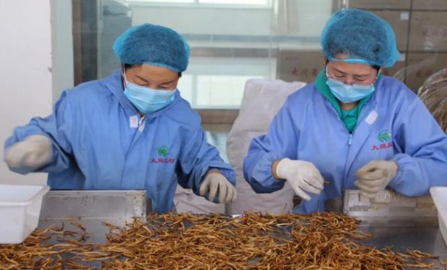 С�ƻ����ɴ��ҵ������ũ��������ô��