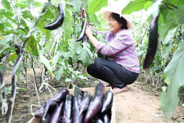 ����ũ���У����ڷ�ƶ��ͣ���������ؿ���ƶ·