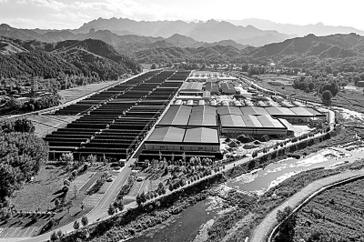 太行山上挂金伞(报告文学)