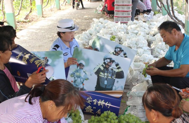 �ɽ��������԰������æ