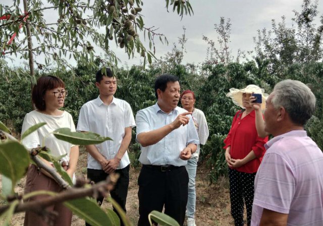 ���٣����𶹶��������ķ���