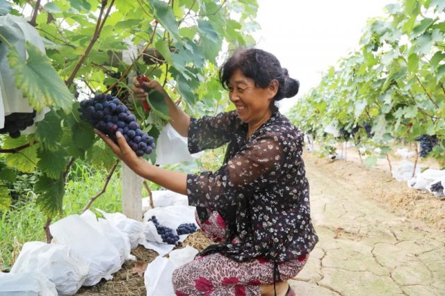 �������ѡ��ᡱ��ŨŨ����