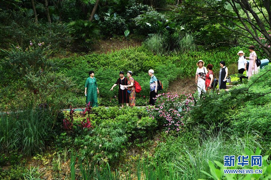 (走向我们的小康生活·图文互动)(2)从“靠山吃山”到“养山富山”——重庆缙云山的“绿色辩证法”