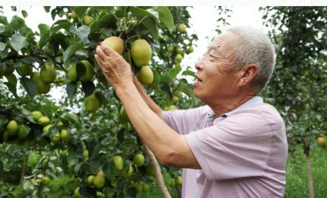 ���ũ�����������������ũ���ջ����