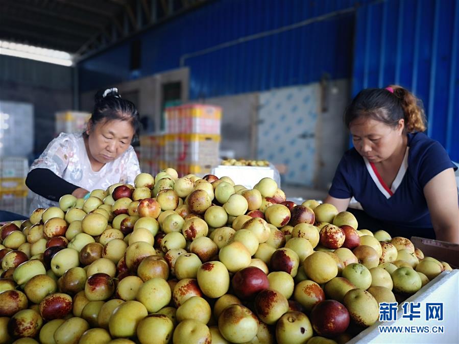 ��������ˡ�ͼ�Ļ�������1��һ���������