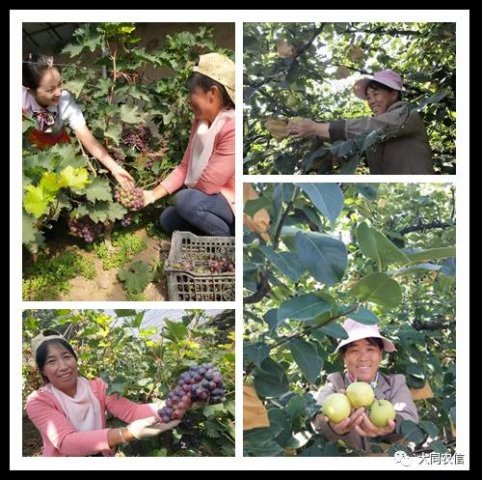 ��Դũ�������ķ�����ũ���������������