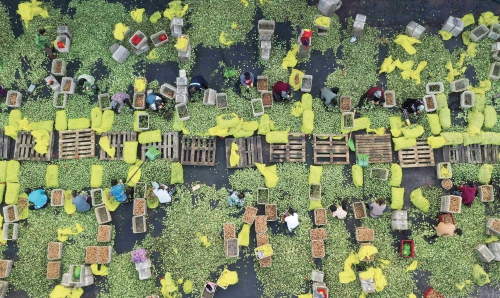 ɽ�غ��ҡ���ũ����