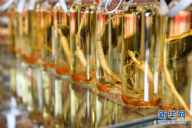 �����š��˲��ϡ���ɽ���������ָ���С�ʹ���¸���