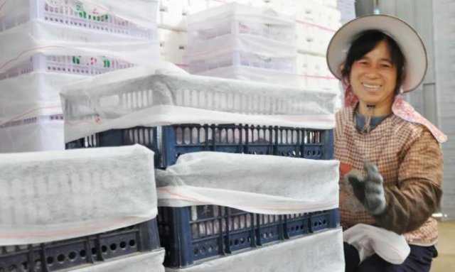 �����ߺ족�������ô��ŵġ������