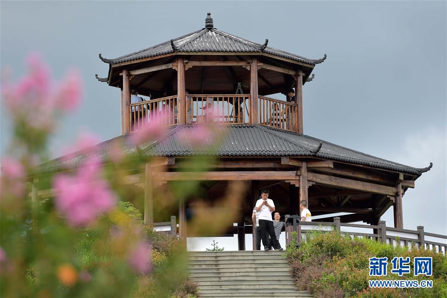 (走向我们的小康生活·图文互动)(4)从废弃矿山到生态“福地”——江西寻乌战荒记