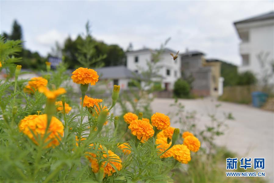 (走向我们的小康生活·图文互动)(3)从废弃矿山到生态“福地”——江西寻乌战荒记