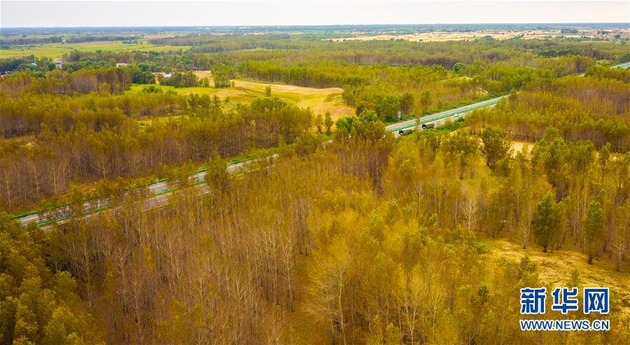 (在习近平新时代中国特色社会主义思想指引下——新时代新作为新篇章·习近平总书记关切事·图文互动)(3)绿意,在黄沙中铺展——我国防沙治沙纪实
