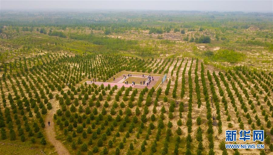 (在习近平新时代中国特色社会主义思想指引下——新时代新作为新篇章·习近平总书记关切事·图文互动)(2)绿意,在黄沙中铺展——我国防沙治沙纪实